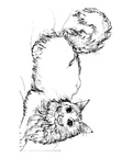 Realistic Cats Coloring Book Page