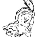 Realistic_Cat_Cat_Coloring_Pages_020.jpg