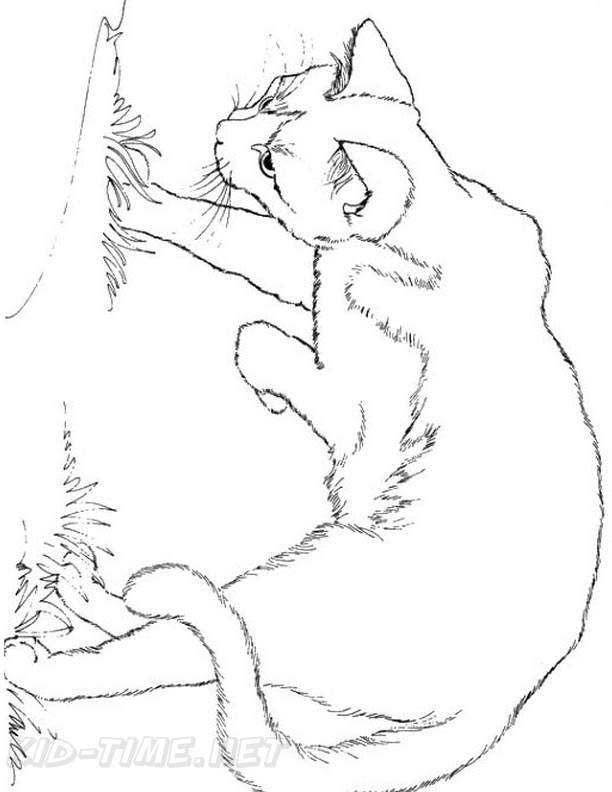 Realistic coloring pages xl