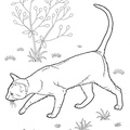 Realistic_Cat_Cat_Coloring_Pages_029.jpg