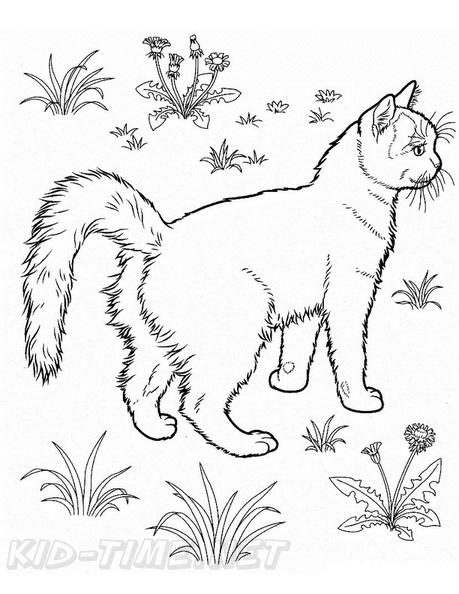 Realistic_Cat_Cat_Coloring_Pages_030.jpg