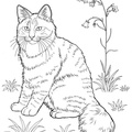 Realistic_Cat_Cat_Coloring_Pages_031.jpg