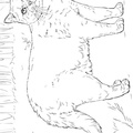 Realistic_Cat_Cat_Coloring_Pages_033.jpg