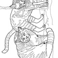 Realistic_Cat_Cat_Coloring_Pages_036.jpg