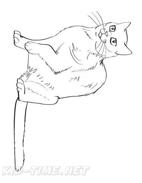 Russian_Blue_Cat_Coloring_Pages_001.jpg