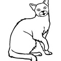 Russian_Blue_Cat_Coloring_Pages_002.jpg