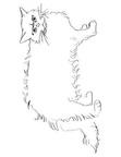 Selkirk Rex Cats Coloring Book Page