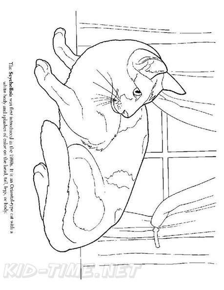 Seychellois_Cat_Coloring_Pages_001.jpg