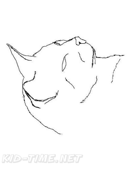 Siamese Cat Breed Coloring Book Page