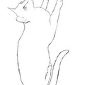 Siamese_Cat_Coloring_Pages_004.jpg