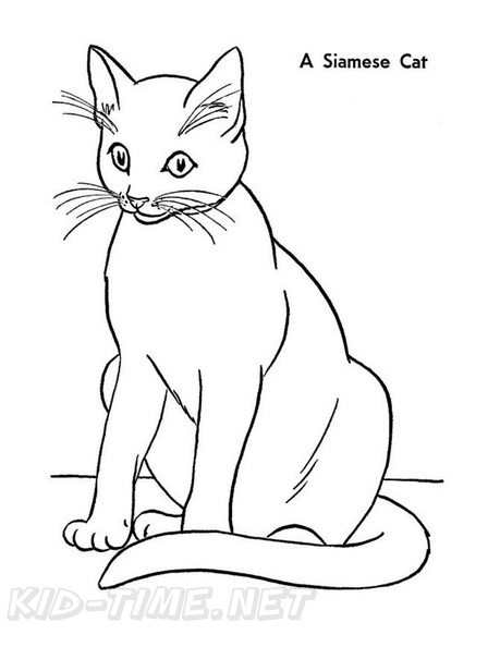 Siamese Cat Breed Coloring Book Page
