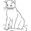 Siamese_Cat_Coloring_Pages_010.jpg