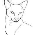 Siamese_Cat_Coloring_Pages_012.jpg