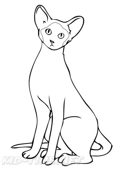Siamese_Cat_Coloring_Pages_013.jpg