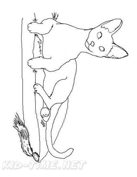 Siamese_Cat_Coloring_Pages_014.jpg