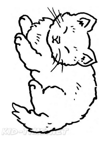 Cat Simple Toddler Easy Coloring Book Page