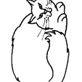 simplistic-cat-simple-toddler-coloring-pages-52.jpg