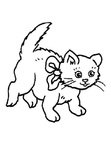 Cat Simple Toddler Easy Coloring Book Page