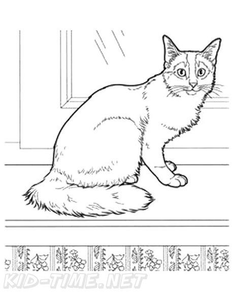 Somali_Cat_Coloring_Pages_001.jpg
