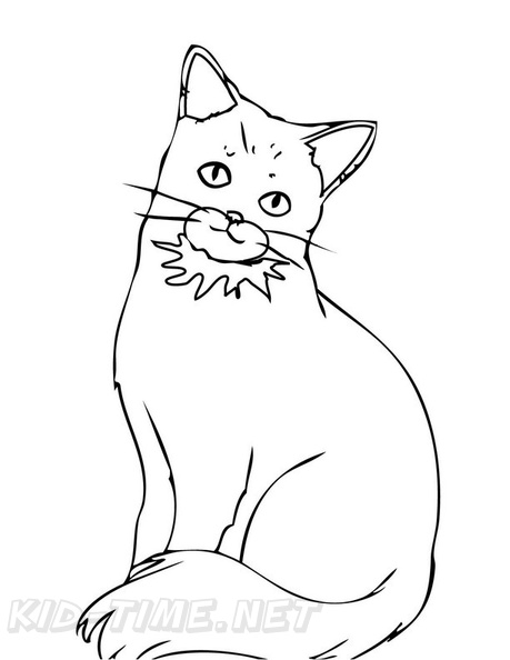 Somali_Cat_Coloring_Pages_005.jpg