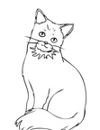Somali Cat Breed Coloring Book Page