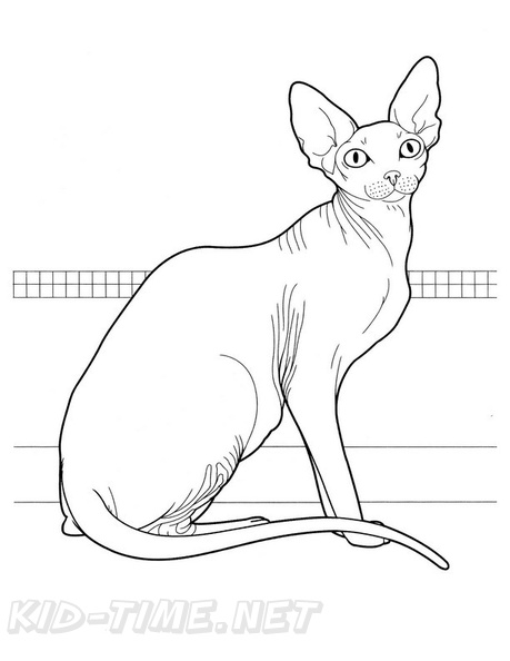 Canadian_Sphynx_Cat_Coloring_Pages_003.jpg