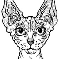 Canadian_Sphynx_Cat_Coloring_Pages_008.jpg