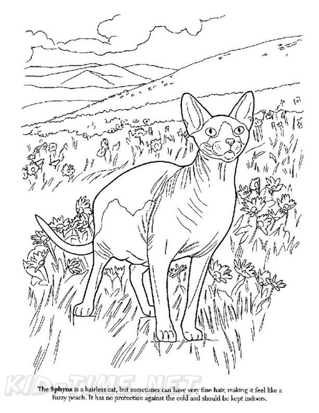 Sphynx_Cat_Coloring_Pages_002.jpg