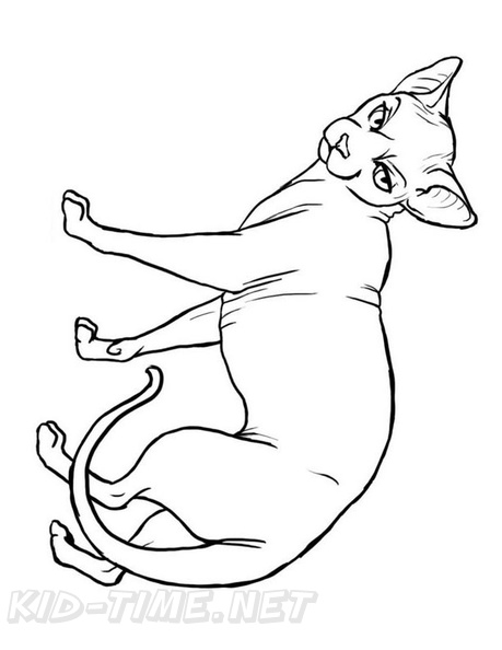 Sphynx_Cat_Coloring_Pages_004.jpg
