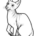 Sphynx_Cat_Coloring_Pages_005.jpg