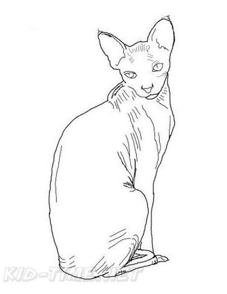 Sphynx_Cat_Coloring_Pages_006.jpg