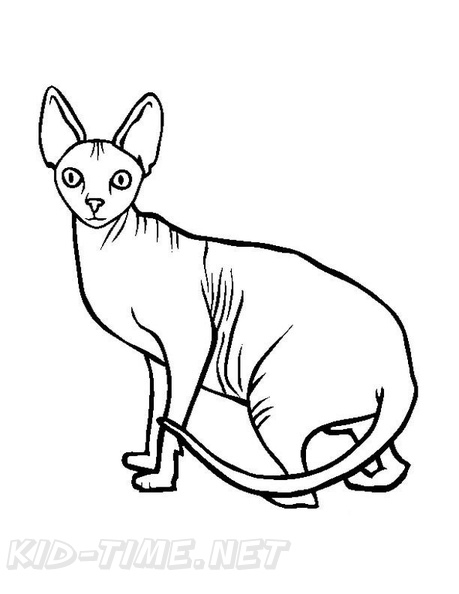 Sphynx_Cat_Coloring_Pages_007.jpg