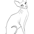 Sphynx_Cat_Coloring_Pages_008.jpg