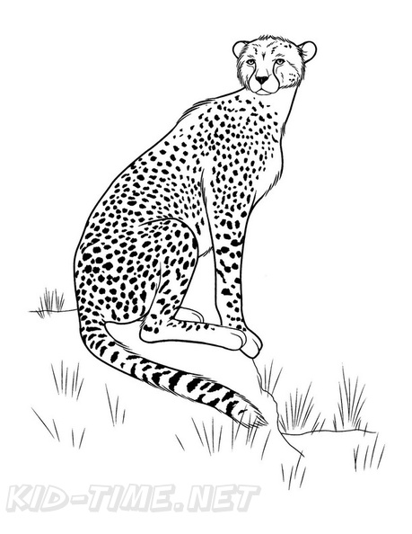 Cheetah_Coloring_Pages_003.jpg