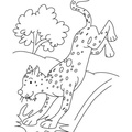Cheetah_Coloring_Pages_008.jpg
