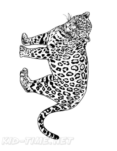 Cheetah_Coloring_Pages_017.jpg