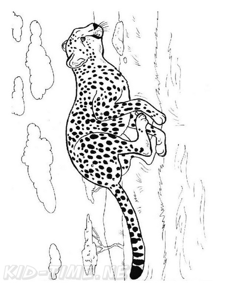 Cheetah_Coloring_Pages_024.jpg