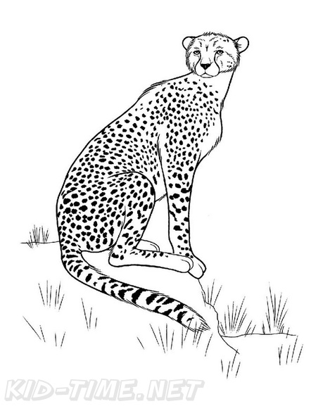 Cheetah_Coloring_Pages_025.jpg