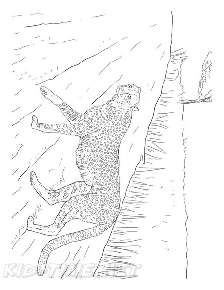 Cheetah_Coloring_Pages_029.jpg