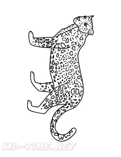 Cheetah_Coloring_Pages_035.jpg