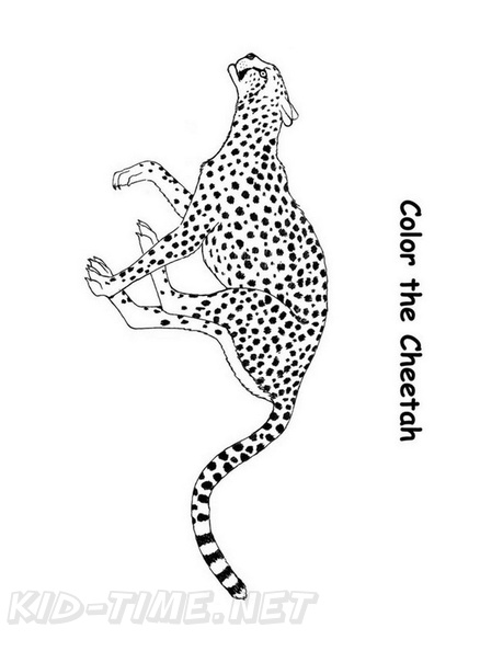 Cheetah_Coloring_Pages_040.jpg