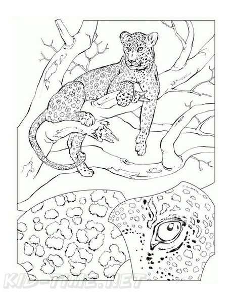 Cheetah_Coloring_Pages_045.jpg