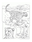 Cheetah Coloring Book Page