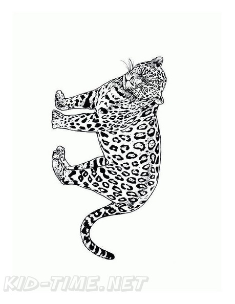 Cheetah_Coloring_Pages_049.jpg