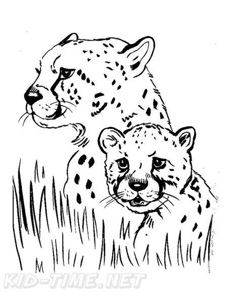 Cheetah_Coloring_Pages_065.jpg