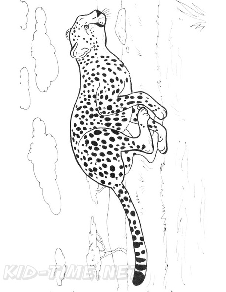 Cheetah_Coloring_Pages_073.jpg