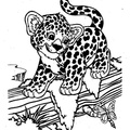 Cheetah_Coloring_Pages_082.jpg
