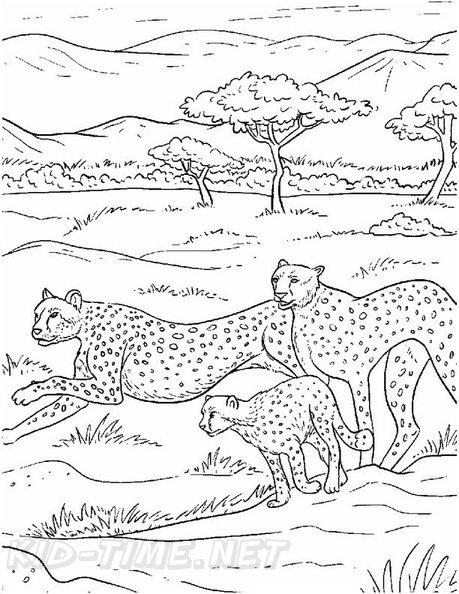 Cheetah_Coloring_Pages_084.jpg