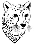 Cheetah Coloring Book Page