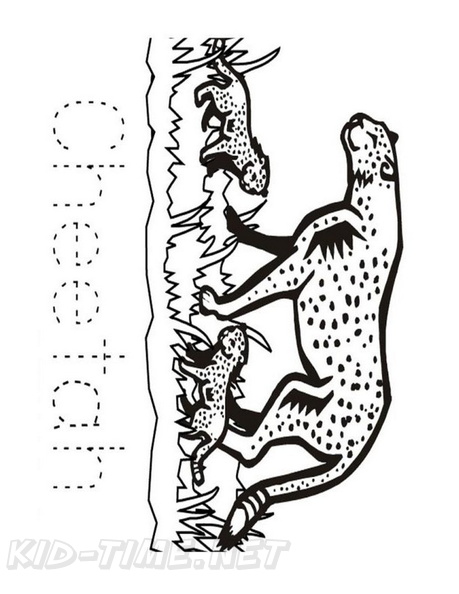 Cheetah_Coloring_Pages_092.jpg